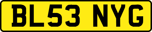 BL53NYG