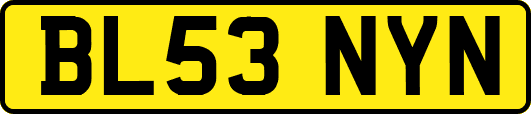 BL53NYN