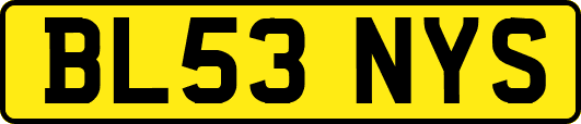 BL53NYS