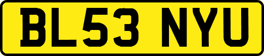 BL53NYU