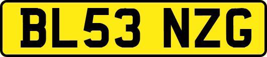 BL53NZG