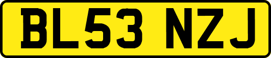 BL53NZJ