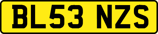 BL53NZS