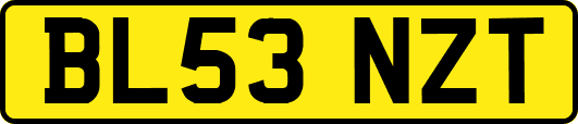 BL53NZT