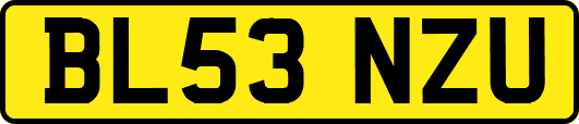 BL53NZU