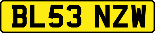 BL53NZW