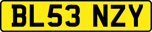 BL53NZY