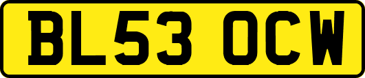 BL53OCW