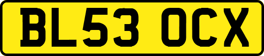 BL53OCX
