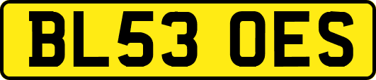 BL53OES