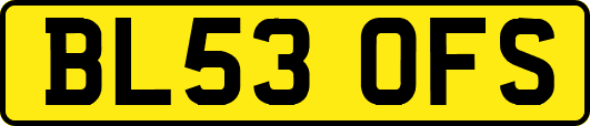 BL53OFS