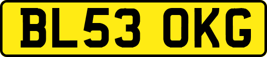 BL53OKG