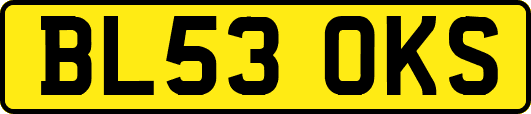 BL53OKS