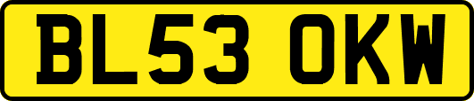 BL53OKW