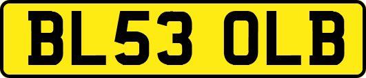 BL53OLB