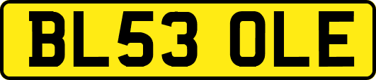 BL53OLE