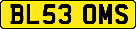 BL53OMS