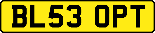 BL53OPT