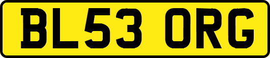 BL53ORG