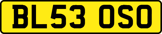 BL53OSO