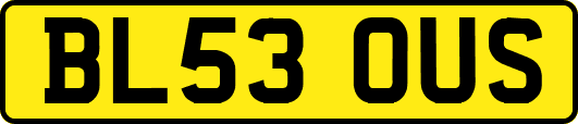 BL53OUS
