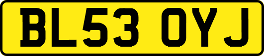 BL53OYJ