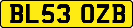 BL53OZB