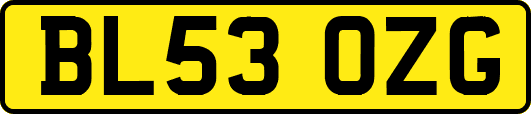 BL53OZG