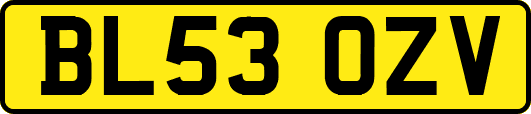BL53OZV