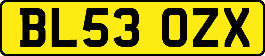 BL53OZX