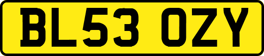 BL53OZY