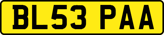 BL53PAA