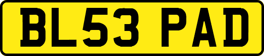 BL53PAD