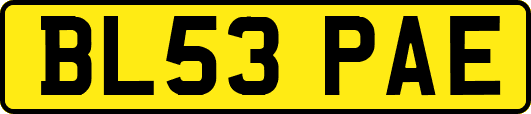 BL53PAE