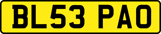 BL53PAO