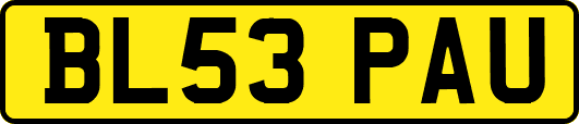 BL53PAU