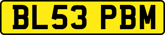 BL53PBM