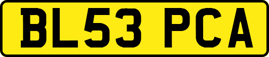 BL53PCA
