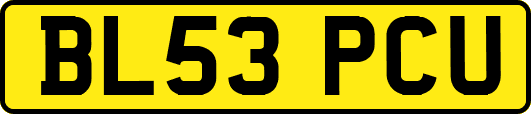 BL53PCU