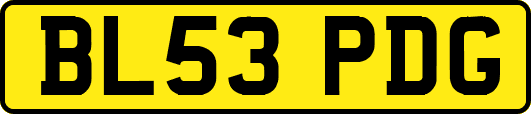 BL53PDG