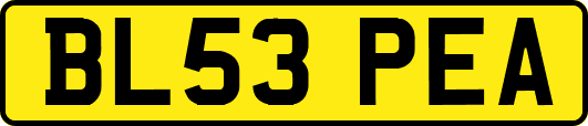 BL53PEA
