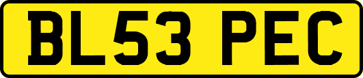 BL53PEC