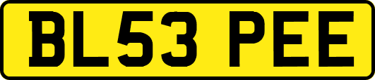 BL53PEE