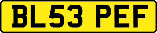 BL53PEF