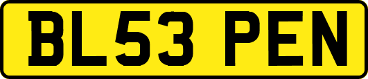 BL53PEN