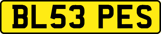 BL53PES