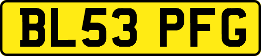 BL53PFG
