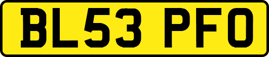 BL53PFO