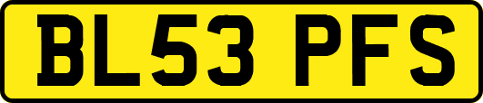BL53PFS