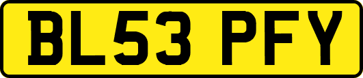 BL53PFY